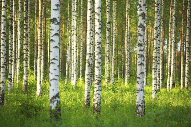 народный календарь на апрель приметы