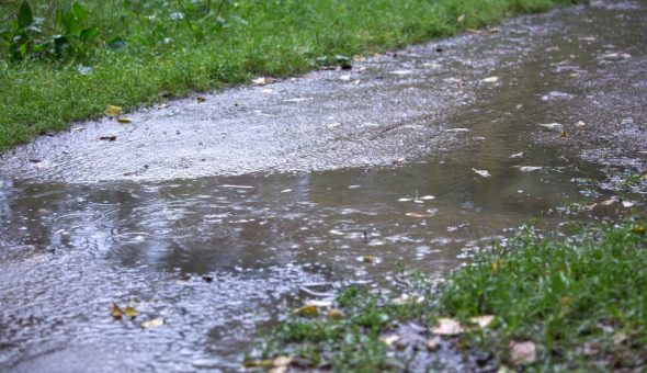 9 августа — день святого Пантелеймона