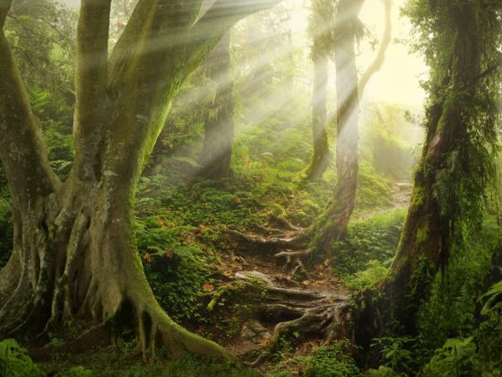 Августовские приметы