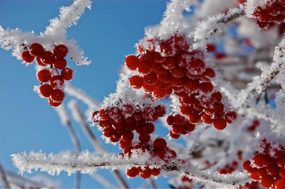 Народные приметы на декабрь 2019 года
