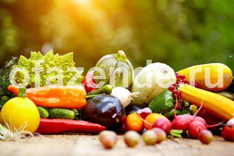 Приметы и рекомендации для садоводов и огородников