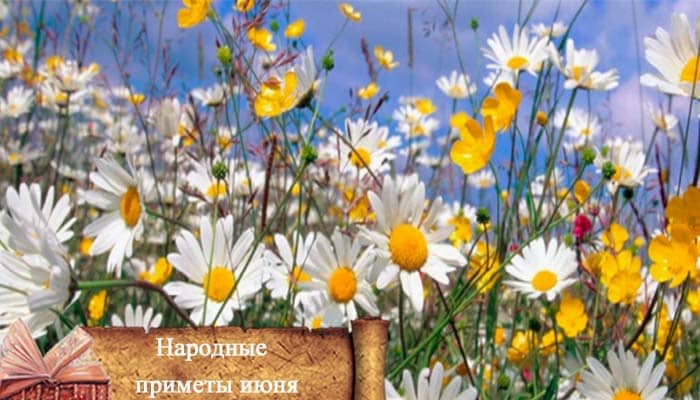 приметы июня