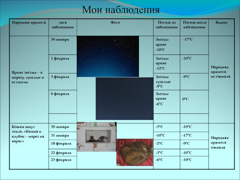 Мои наблюдения