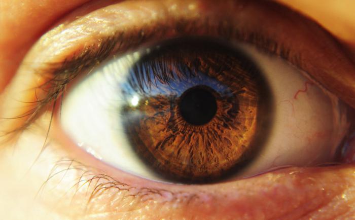 народные приметы и праздники на каждый день марта