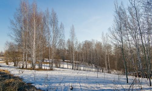 Март: народные приметы на каждый день