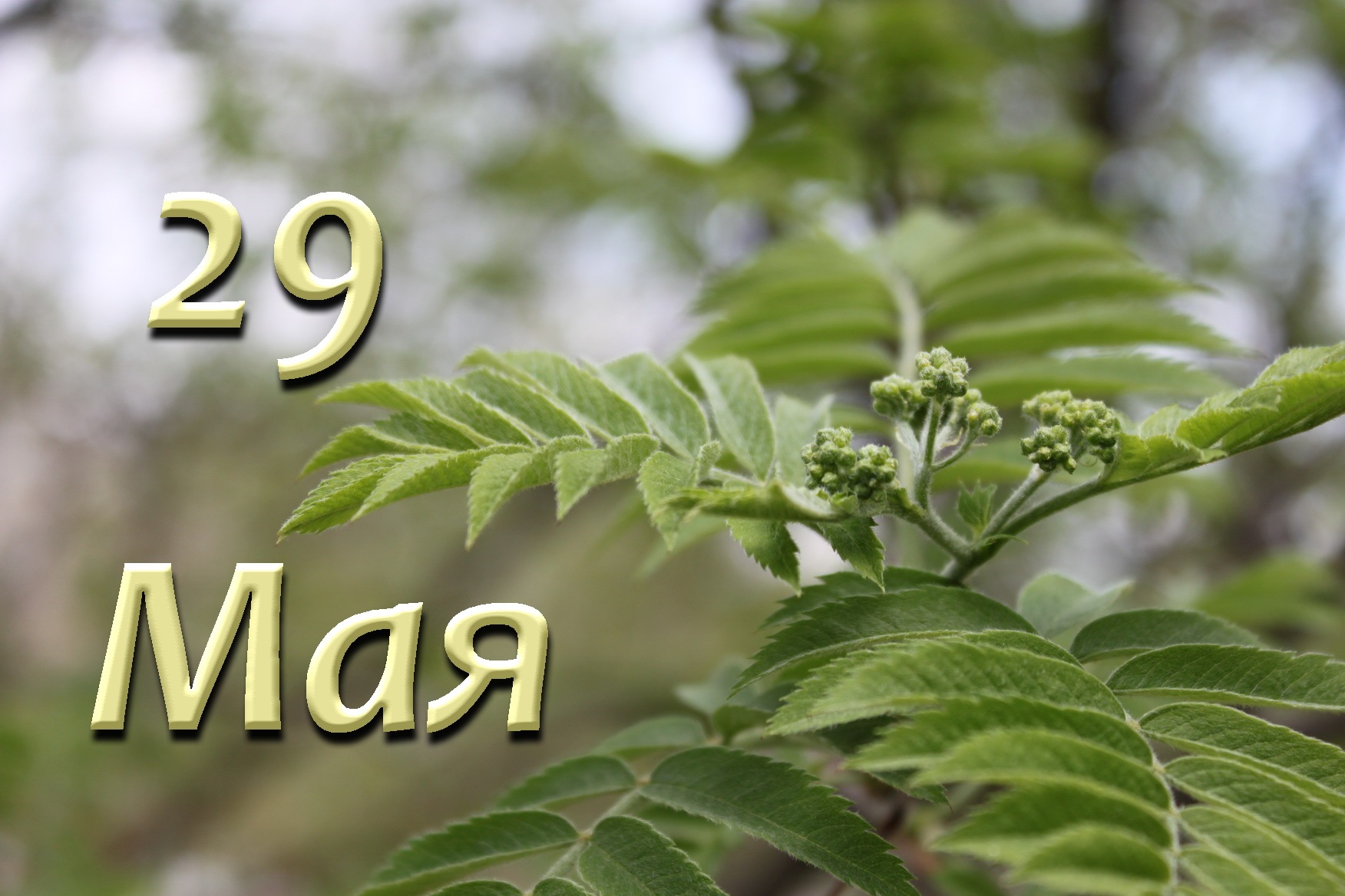 Народные приметы на 29 мая 2020 года: что можно и чего нельзя делать в этот день