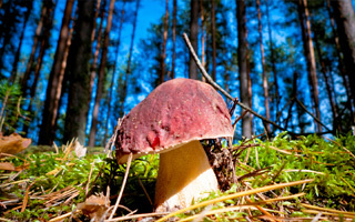 Народные приметы октября о погоде на каждый день