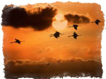 народные приметы осени