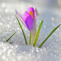 зимние приметы о погоде