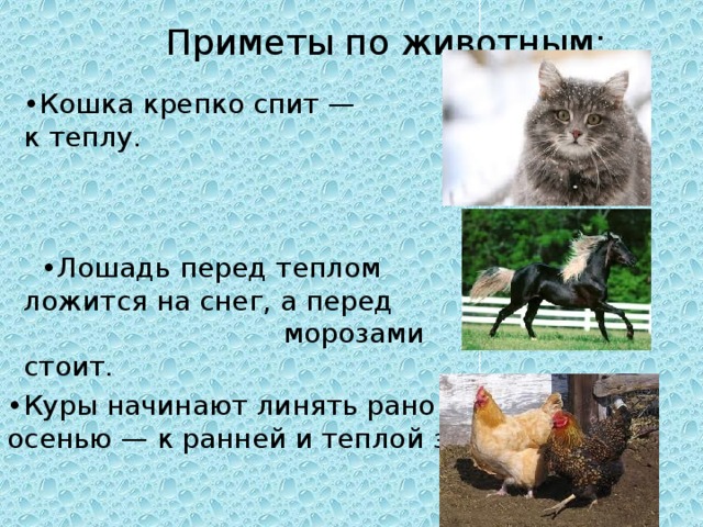 Приметы по животным: • Кошка крепко спит — к теплу. • Лошадь перед теплом ложится на снег, а перед морозами стоит. • Куры начинают линять рано осенью — к ранней и теплой зиме.