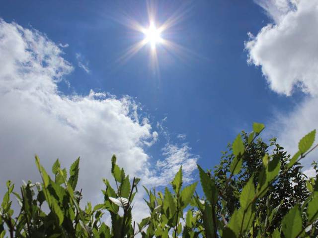 Народные приметы о погоде, которые действительно работают и проверены временем