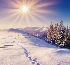 народные приметы о погоде зимой