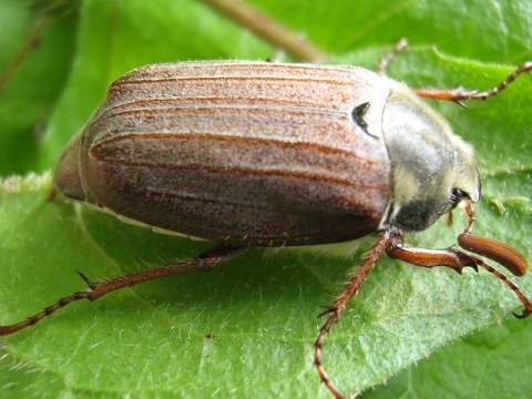 Народные приметы о погоде, которые действительно работают и проверены временем