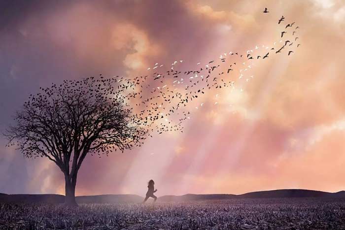 предсказания