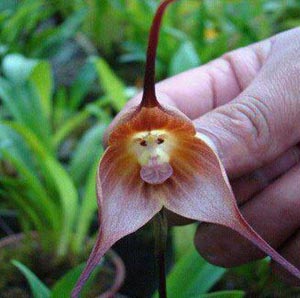 Народные приметы о погоде на июль