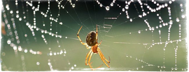 народные приметы про погоду