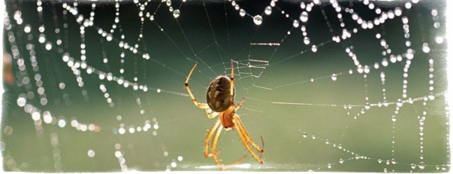 народные приметы про погоду