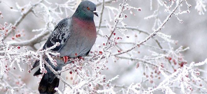прочитай соедини народные приметы для определения погоды