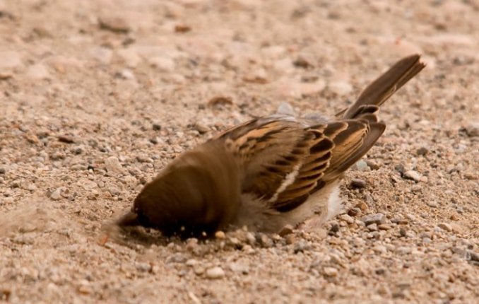 какие народные приметы существуют о перемене погоды