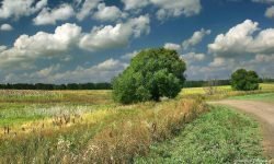 Календарные приметы месяца августа