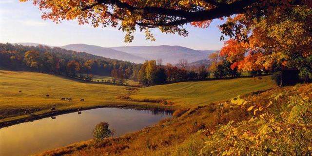 Народные приметы о природе и погоде - значение, варианты толкований, советы