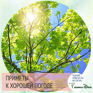 народные приметы про животных о погоде