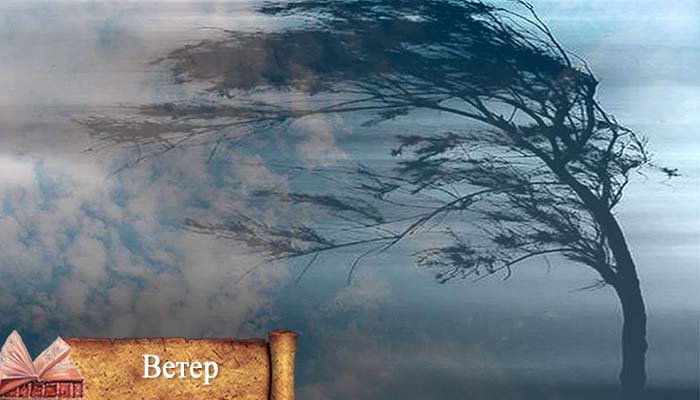 приметы о погоде март 2021 огород