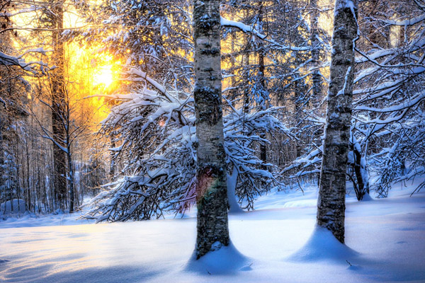 Народный календарь на февраль, народные приметы на февраль, народные традиции на февраль, праздники в феврале, народные приметы на погоду в феврале, народный календарь на февраль 2017, День Трифона 14 февраля, народные приметы на 12 февраля, народные примеы на 14 февраля, народные приметы на Сретение