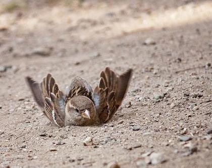 народные приметы про погоду