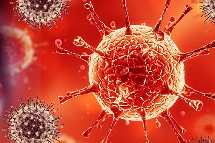 Фото:pixabay.com