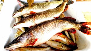 Рыбалка на карася ночью зимой в украине