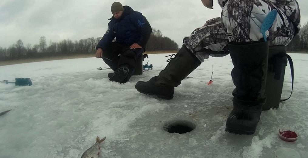 Погода для ловли плотвы.