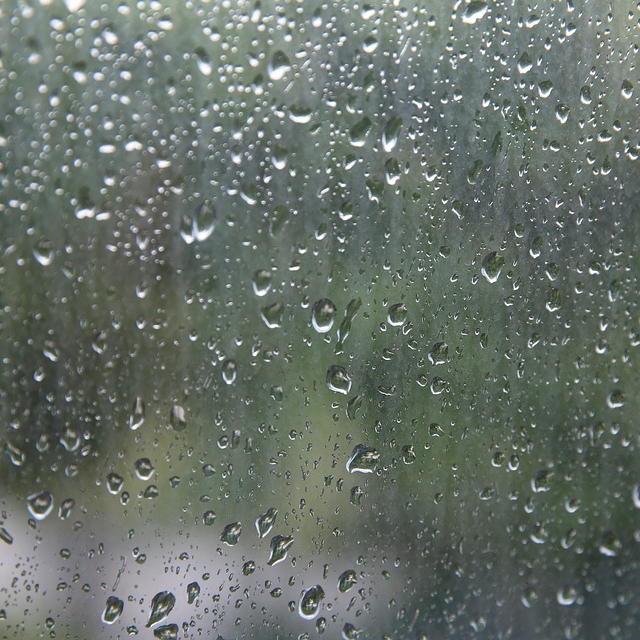 плохая погода для рыбалки