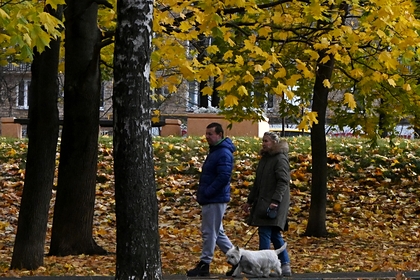 Россиянам пообещали аномально теплый конец октября