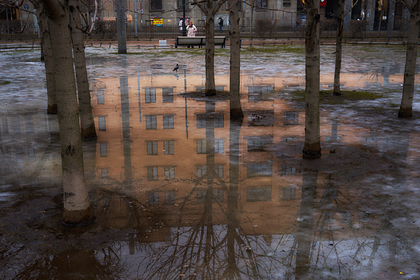 Предсказано исчезновение снежных зим в центре России