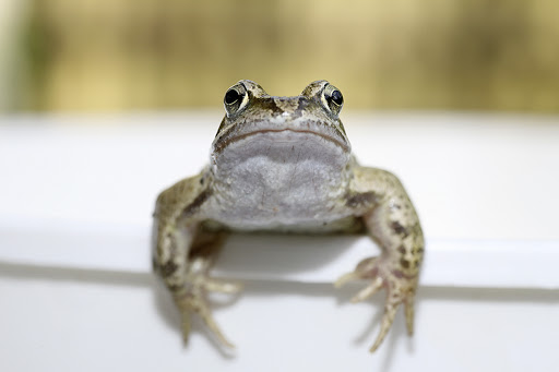 Правдивы ли русские приметы для предсказания погоды?