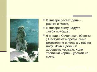 В январе растет день - растет и холод. В январе снегу надует - хлеба прибудет. 6