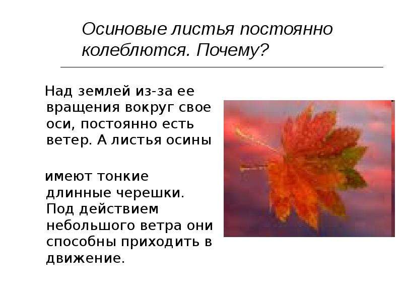 Презентация по физике "Физика и погодные приметы" - скачать , слайд №17