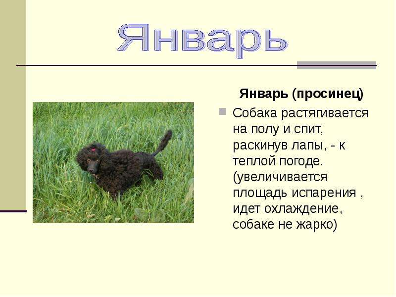 Презентация по физике "Физика и погодные приметы" - скачать , слайд №7