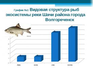 График №1 Видовая структура рыб экосистемы реки Шачи района города Волгореченск