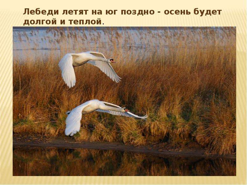 Презентация на тему Народные Приметы погоды , слайд №12