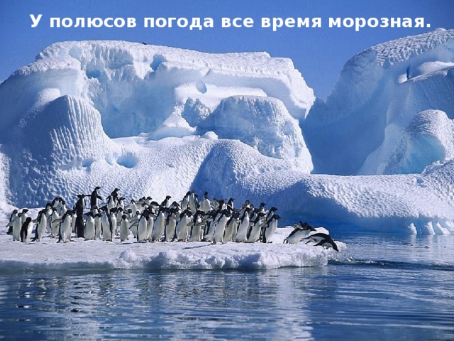 У полюсов погода все время морозная.