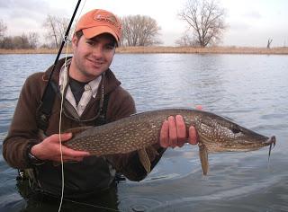 клев и атмосферное давление