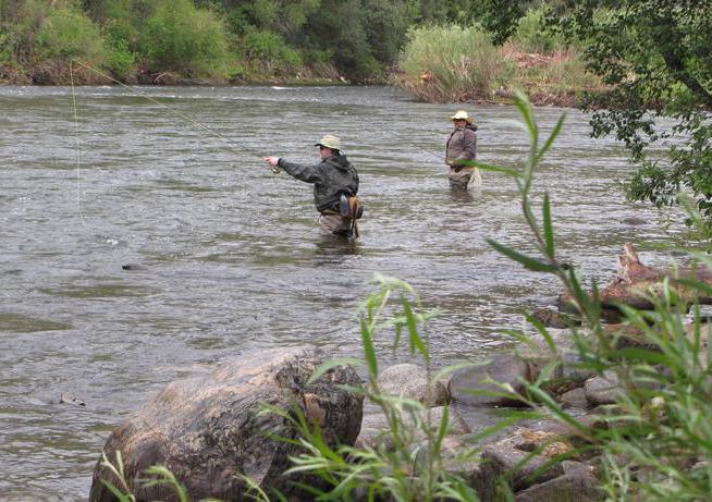 влияние давления на клев щуки