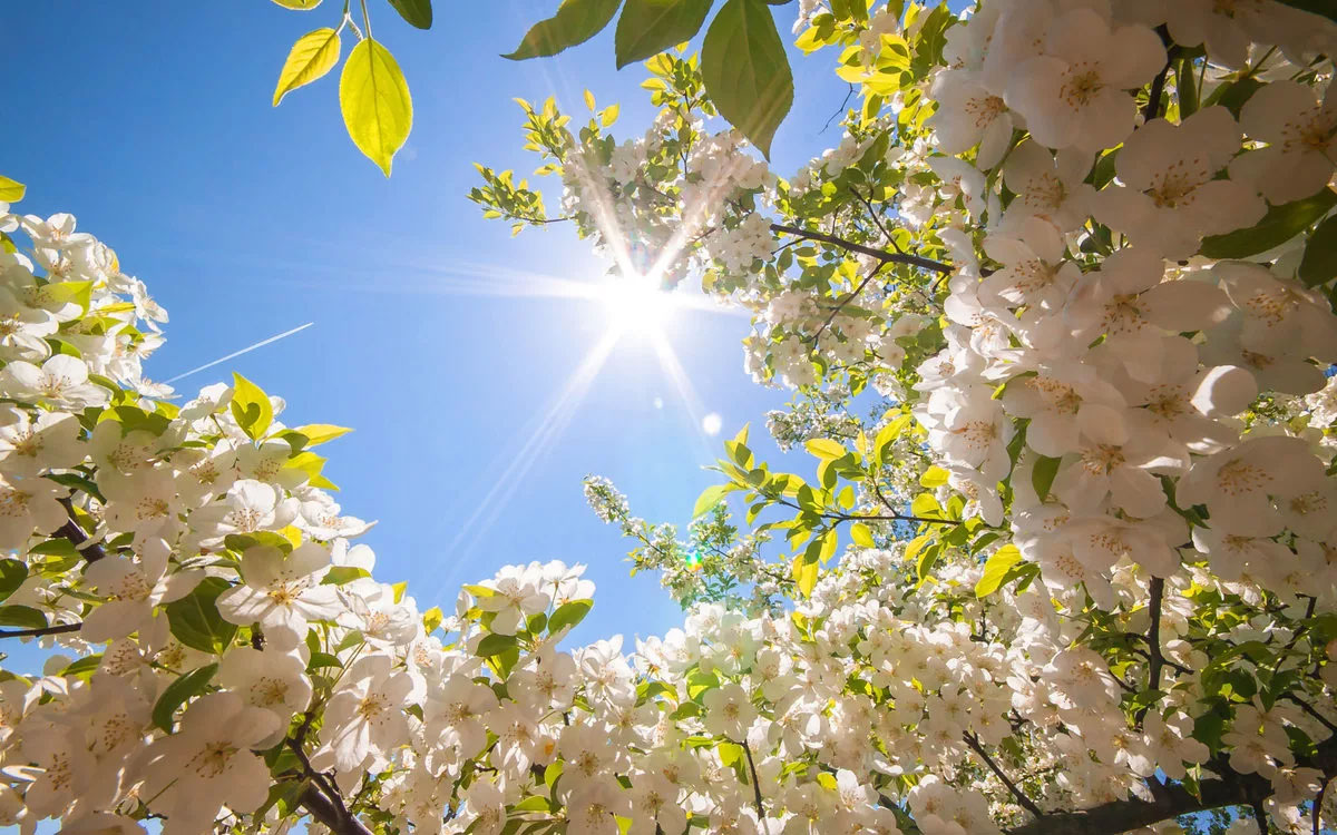 прогноз погоды по приметам