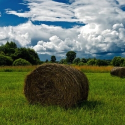 Народные приметы на 12 августа – Силин день, что не рекомендуем делать в этот день, традиции