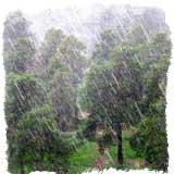 Приметы о дожде