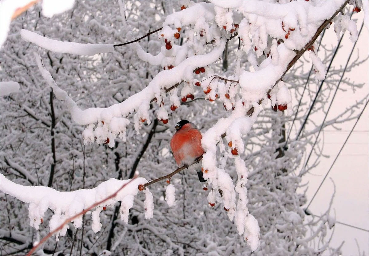 приметы вода