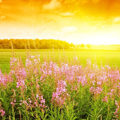 Приметы лета для школьников