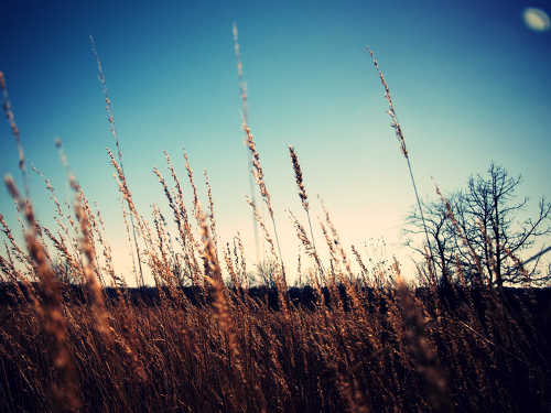 Приметы о погоде